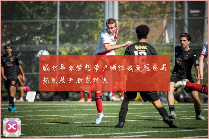 威尔希尔梦想带卢顿征战英冠或遇热刺展开激烈对决