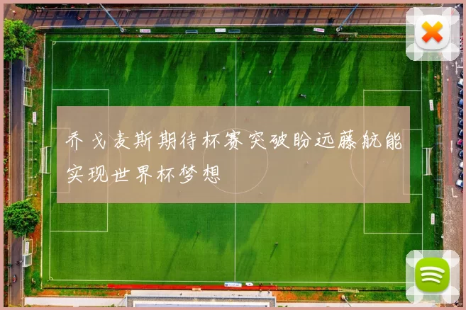 乔戈麦斯期待杯赛突破盼远藤航能实现世界杯梦想