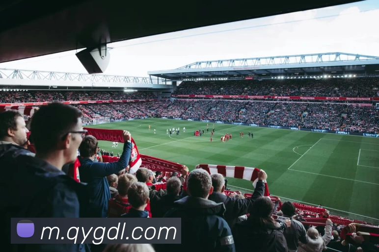 奇异果体育appAPP 体育赛事宣传图